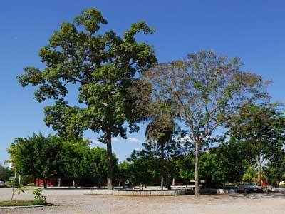 Hotel Fazenda Do Bertione Miranda Εξωτερικό φωτογραφία